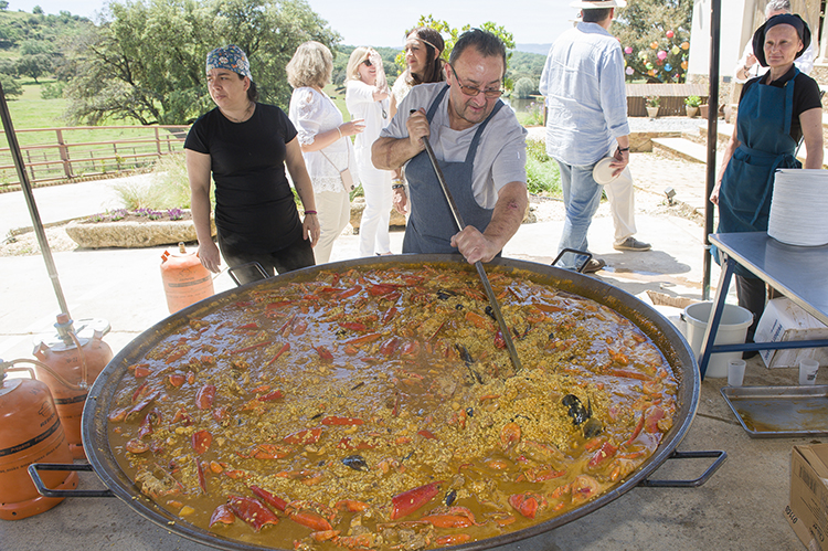 HCN festival 2024 comida