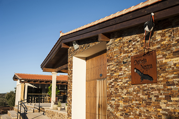 almazara ecologica en sierra gata cerca de valverde del fresno con servicio de maquilas particulares