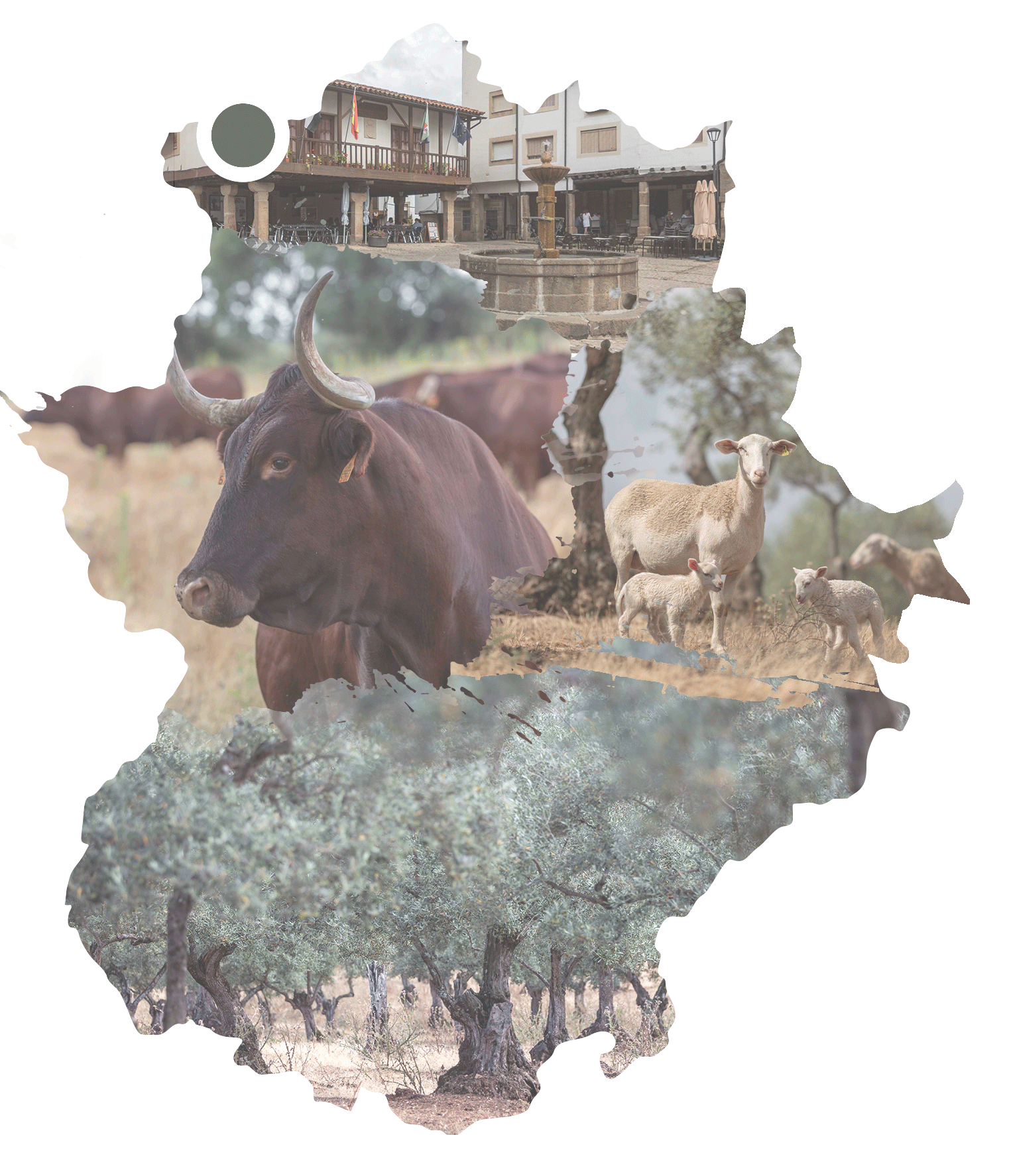 Mapa Finca Cigüeña Negra